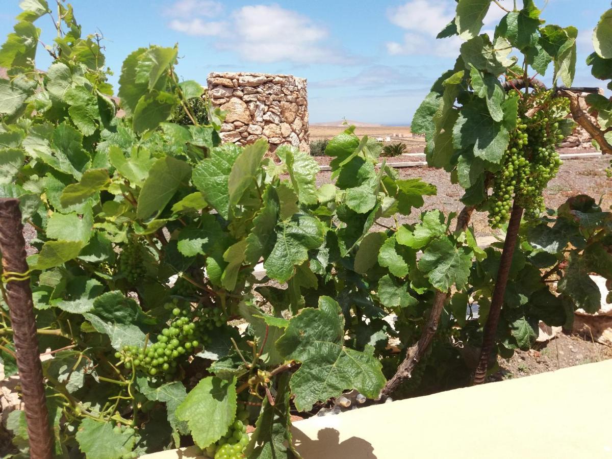 Villa La Vista De Tefía 外观 照片